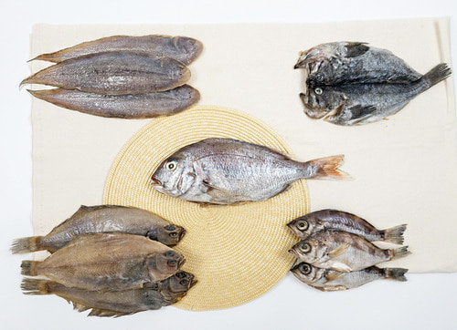 반건조 생선선물세트 4종